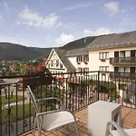 Parc Hotel 3*