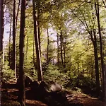 Parc