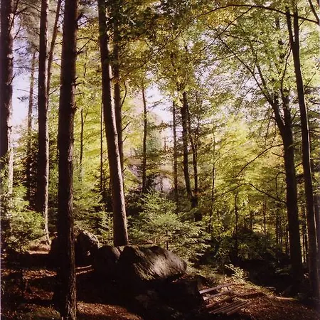 Parc