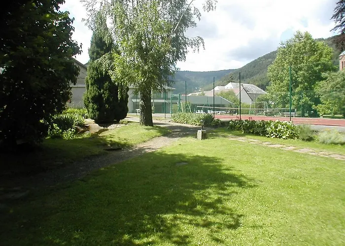 Parc 3* Wangenbourg-Engenthal