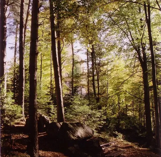 Parc